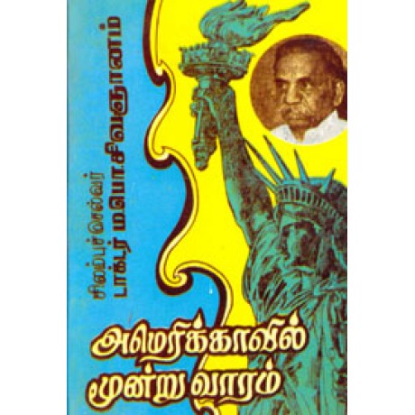 அமெரிக்காவில் மூன்று வாரம்