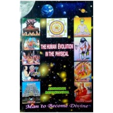 The Human Evolution In The Physical